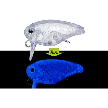 #02 NAEUV L[oO23 EverGreen INTERNATIONAL t[eBO^Cv d1.3g #02 NAEUVF S2.3cm 11606257