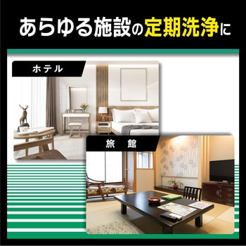 R'sPRO トイレクリーナー酸性 リンレイ