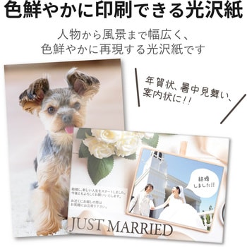 はがき用紙 写真用紙 光沢 ポストカード ホワイト エレコム