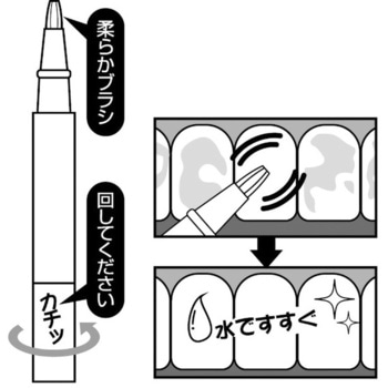 トゥースティック シャイン 1個 TO-PLAN(東京企画販売) 【通販