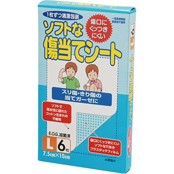 - �\�t�g�ȏ����ăV�[�g �J�����g 11640012