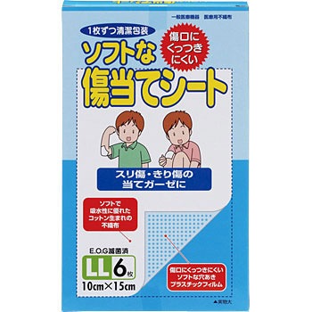 - �\�t�g�ȏ����ăV�[�g �J�����g 11640028