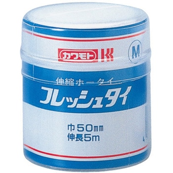 フレッシュタイ カワモト