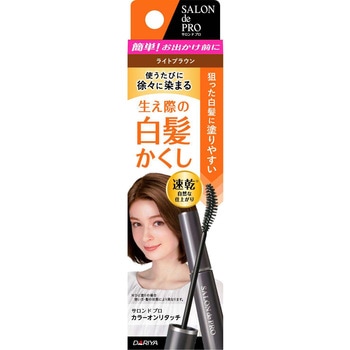 サロン・ド・プロ カラーオンリタッチ 白髪かくしEX ダリヤ