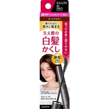 サロン・ド・プロ カラーオンリタッチ 白髪かくしEX ダリヤ