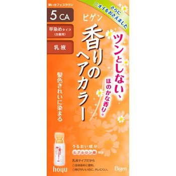 - rQ ̃wAJ[ t z[[ 11744407