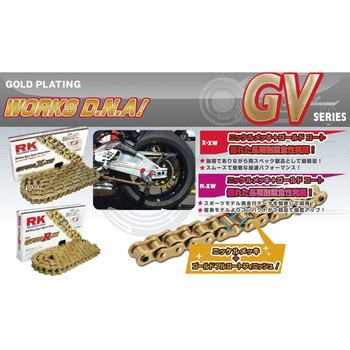 ノンシールチェーン GVシリーズ RK JAPAN