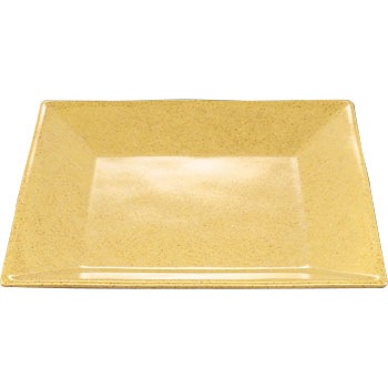 E 113 NX^ pM }PC(ۉH) pM 11796338