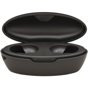『Allegro』TWS Bluetooth外音取込イヤホン たのしいかいしゃ