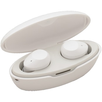 『Allegro』TWS Bluetooth外音取込イヤホン たのしいかいしゃ