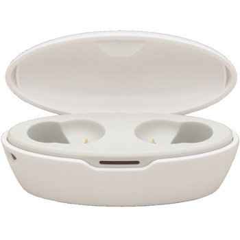 『Allegro』TWS Bluetooth外音取込イヤホン たのしいかいしゃ