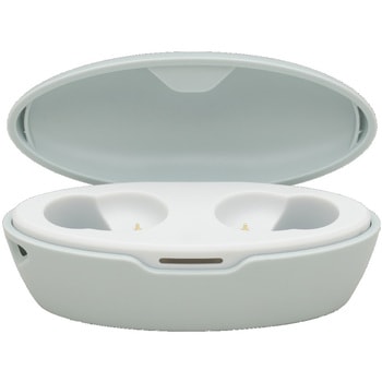 『Allegro』TWS Bluetooth外音取込イヤホン たのしいかいしゃ