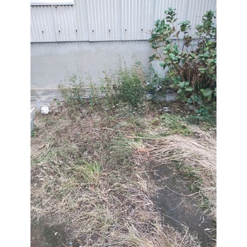 完全無農薬除草材 草枯れちゃん(R) 旭東