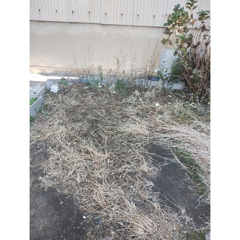 完全無農薬除草材 草枯れちゃん(R) 旭東