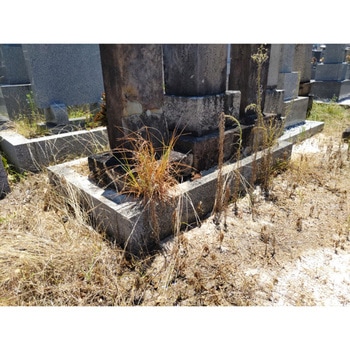 完全無農薬除草材 草枯れちゃん(R) 旭東