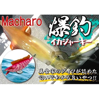 macharo 爆釣イカジャーキー マチャロ