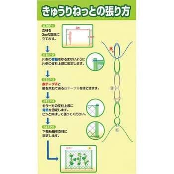 広げるだけの簡単きゅうりねっと 日本マタイ