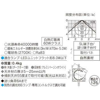 LEDダウンライト(ランプ別売) 東芝ライテック