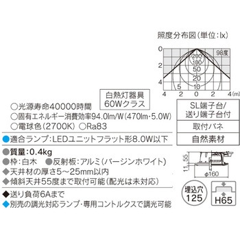 LEDダウンライト(ランプ別売) 東芝ライテック