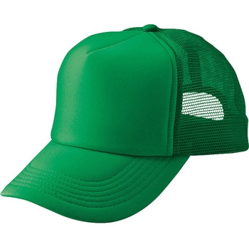 66315 AJbVLbv(MC31/3100) ACgX 12012388