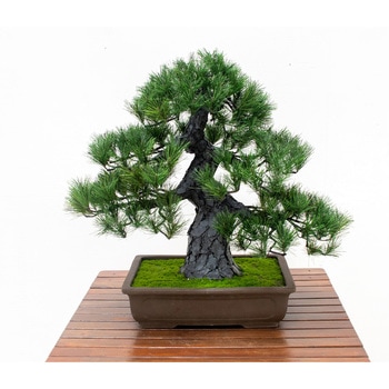 人工樹木/人工観葉植物 松盆栽 岩や