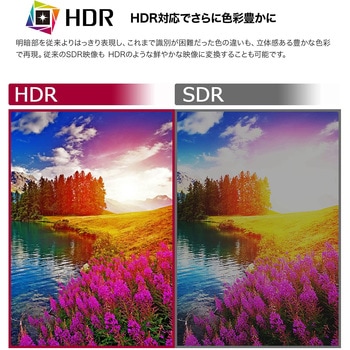 34インチ 曲面型ウルトラワイド液晶ディスプレイ(3440x1440/IPS/ノングレア/HDMIx2/DP/TypeC(PD90W)/LAN(RJ45)/スピーカー/チルト/高さ調整) LG