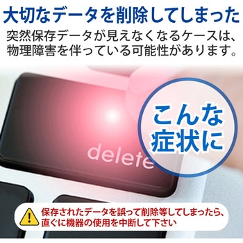 【データ復旧サービス】 【定額】 SDカード  ( miniSD MicroSD SDHC SDXC ) ロジテック
