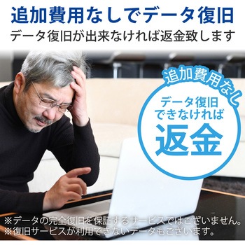 【データ復旧サービス】 【定額】 HDD 内蔵HDD 外付HDD 1ドライブ搭載製品 ロジテック