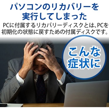【データ復旧サービス】 【定額】 デスクトップパソコン ロジテック
