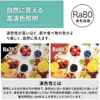 wasser88 LEDデスクライト スプリットタイプ 大河商事