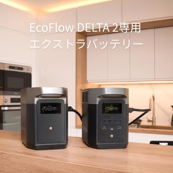 ZMR330EB DELTA2専用エクストラバッテリー 1台 EcoFlow 【通販モノタロウ】