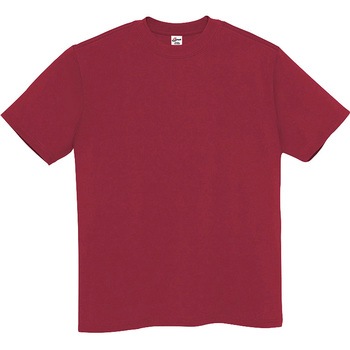 Tシャツ(男女兼用) アイトス