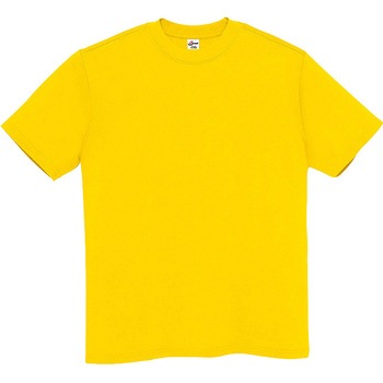 Tシャツ(男女兼用) アイトス