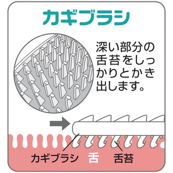 新感覚舌ブラシ したつつみ MMシリーズ 松本金型