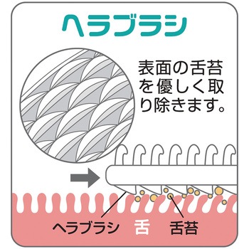 新感覚舌ブラシ したつつみ MMシリーズ 松本金型