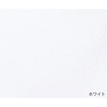 失禁用パンツ 女性用小量タイプ L100シリーズ Wearever