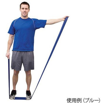ゴーバンド ラテックスフリー 長さ5.5m 10シリーズ アズワン