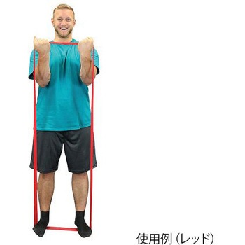 ループバンド ラテックス製 10シリーズ アズワン