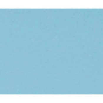 カラフル電動診察台 背上げ付 600×1900mm ATE-6019-BRシリーズ ナビス(アズワン)