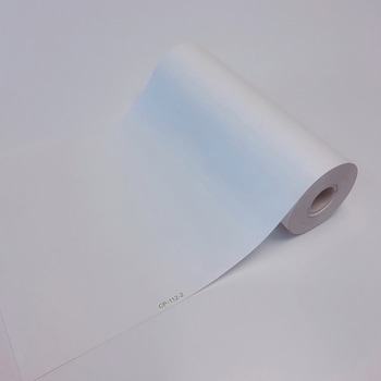 記録紙 汎用タイプ ちばら