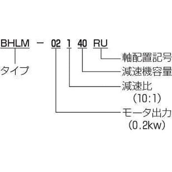 ウォームドモーター BHLM 長谷川鉄工所 ギヤードモーター 【通販