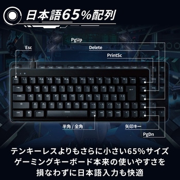 キーボード 有線 着脱式ケーブル メカニカル式(銀軸/スピードリニア) 65%サイズ 【V custom】 日本語配列 テンキーレス USB Aポート×1 コンパクト エレコム