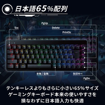キーボード 有線 着脱式ケーブル メカニカル式(銀軸/スピードリニア) 65%サイズ 【V custom】 RGB 日本語配列 テンキーレス USB Aポート×1 エレコム