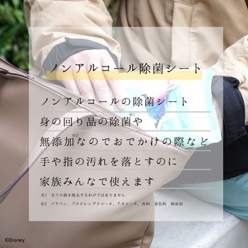 ノンアルコール除菌ウェットシート アナと雪の女王 LEC(レック)