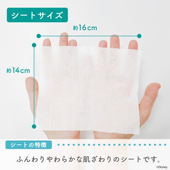ノンアルコール除菌ウェットシート アナと雪の女王 レック(LEC)