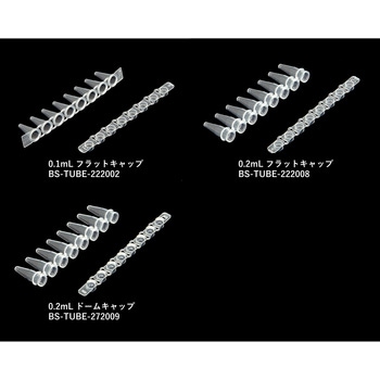 8連PCRチューブ 125セット入り 非滅菌 bitstrong