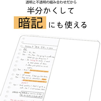 STAD下敷き クツワ