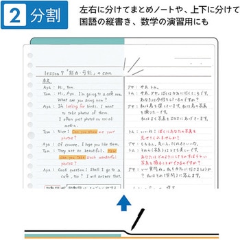STAD下敷き クツワ