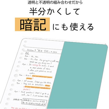 STAD下敷き クツワ