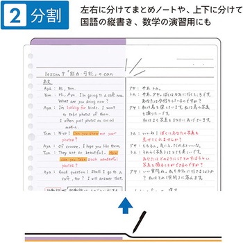 STAD下敷き クツワ